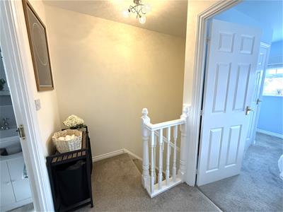 Picture 14